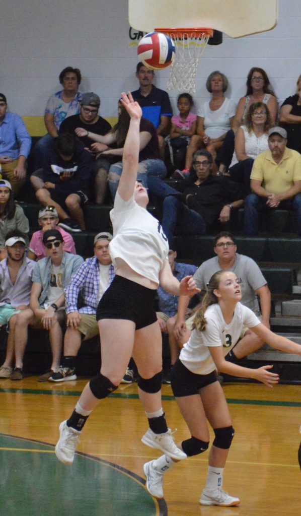 Lady Gators top Carmichaels in 2A volleyball showdown HeraldStandard